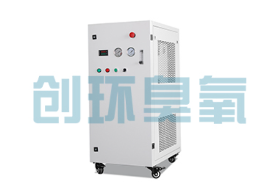 驻马店石斑鱼养殖水质调控完整指南:臭氧发生器配置与操作步骤