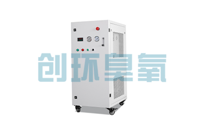 驻马店比传统换水更高效?臭氧发生器在石斑鱼养殖中的水质净化原理解析